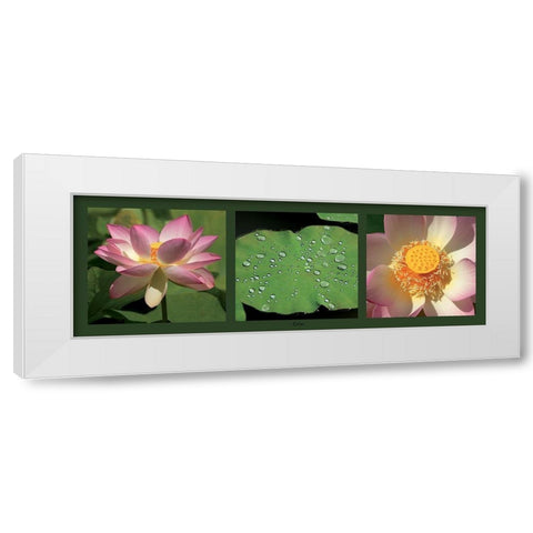 Lotus White Modern Wood Framed Art Print by Pinsard, Laurent