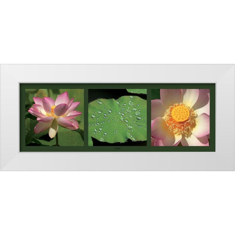 Lotus White Modern Wood Framed Art Print by Pinsard, Laurent