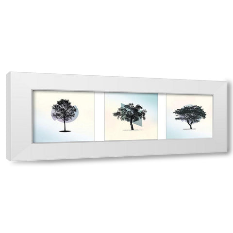 Spectrum Composition White Modern Wood Framed Art Print by Braun Studio