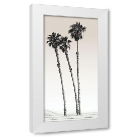 Californian Palm Trees White Modern Wood Framed Art Print by Braun Studio