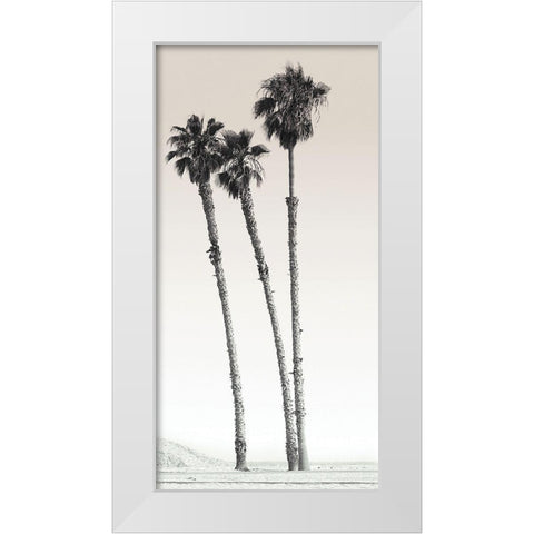 Californian Palm Trees White Modern Wood Framed Art Print by Braun Studio