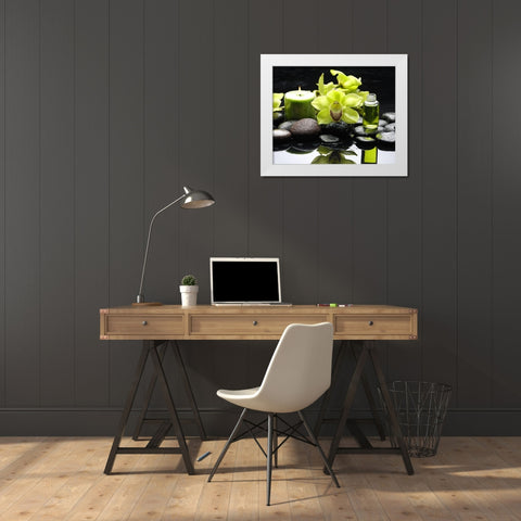 AromathÃ©rapy White Modern Wood Framed Art Print by Braun Studio