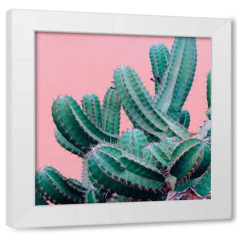 Braun Studio - Pink cactus White Modern Wood Framed Art Print by Braun Studio