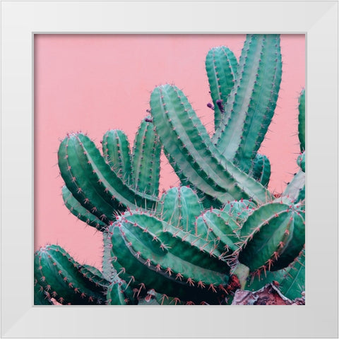 Braun Studio - Pink cactus White Modern Wood Framed Art Print by Braun Studio