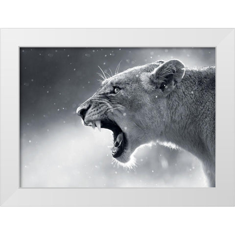 Lionne White Modern Wood Framed Art Print by Braun Studio