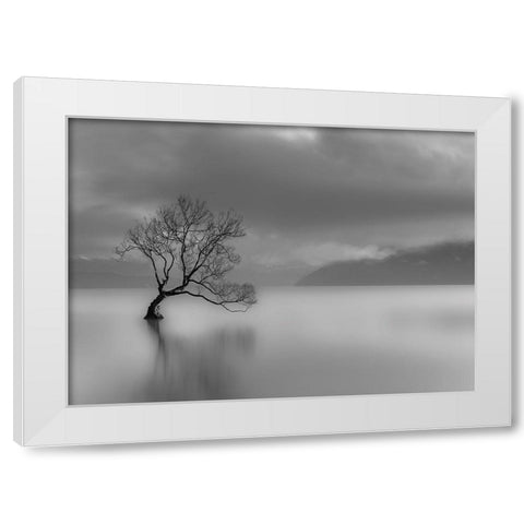 Larbre du lac White Modern Wood Framed Art Print by Braun Studio