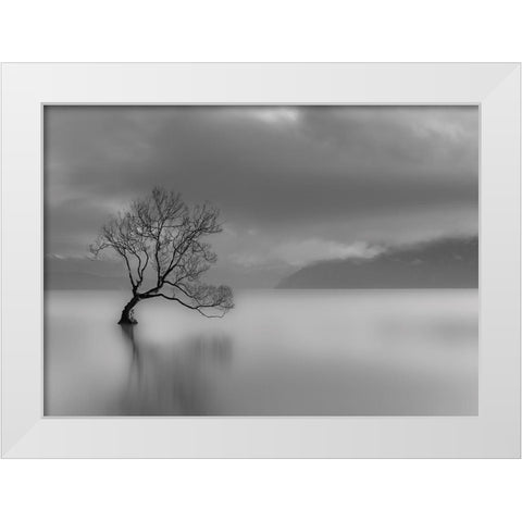 Larbre du lac White Modern Wood Framed Art Print by Braun Studio