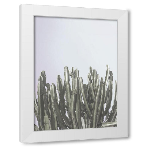 Cactus Cierges White Modern Wood Framed Art Print by Braun Studio