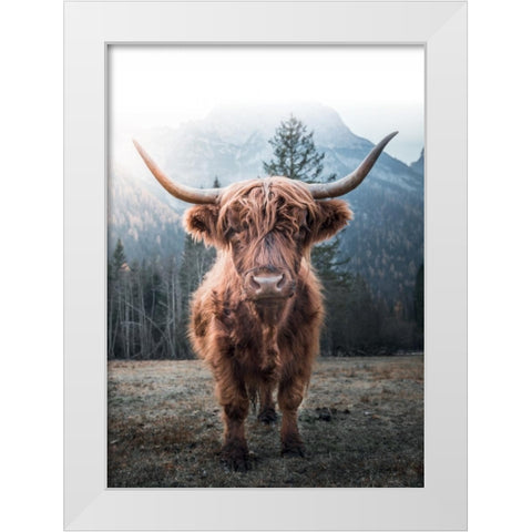 Highland Cow White Modern Wood Framed Art Print by Braun Studio