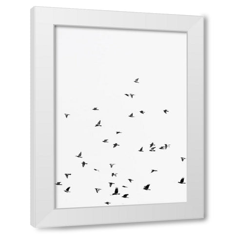 Squadron birds White Modern Wood Framed Art Print by Braun Studio