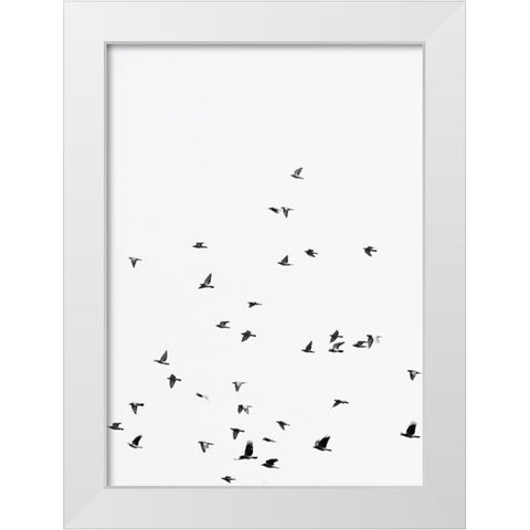 Squadron birds White Modern Wood Framed Art Print by Braun Studio