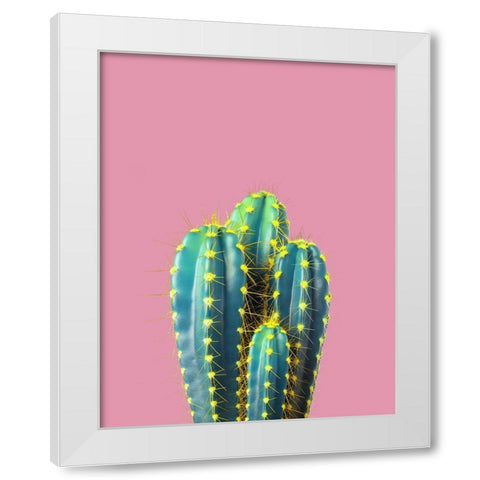 Braun Studio - Cactus epines jaunes White Modern Wood Framed Art Print by Braun Studio