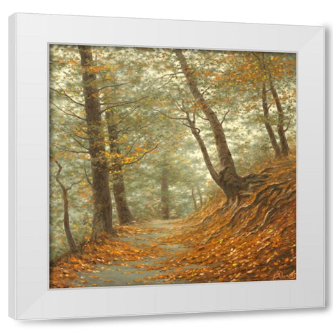 The Path to the Forest White Modern Wood Framed Art Print by Adamov, Alexey