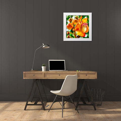 Bud in Bloom White Modern Wood Framed Art Print by Medeiros, Celito