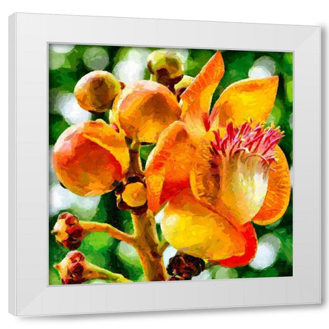 Bud in Bloom White Modern Wood Framed Art Print by Medeiros, Celito