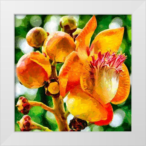 Bud in Bloom White Modern Wood Framed Art Print by Medeiros, Celito