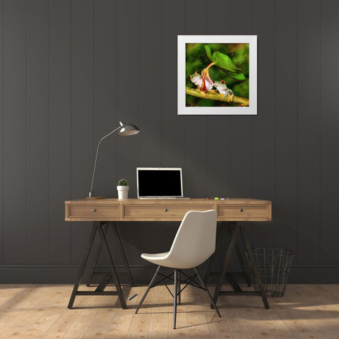 Two Green Frogs II White Modern Wood Framed Art Print by Medeiros, Celito