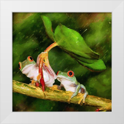 Two Green Frogs II White Modern Wood Framed Art Print by Medeiros, Celito