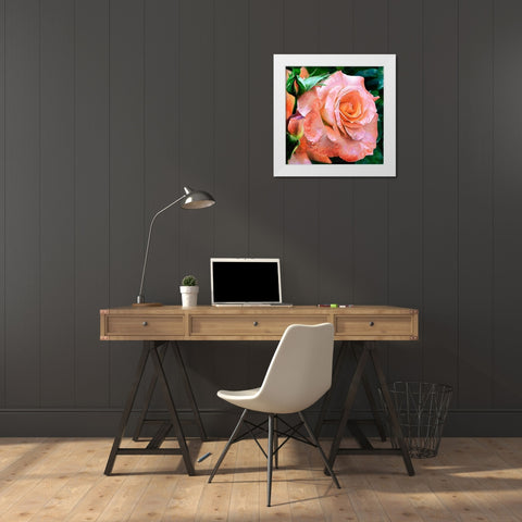 Big Rose White Modern Wood Framed Art Print by Medeiros, Celito