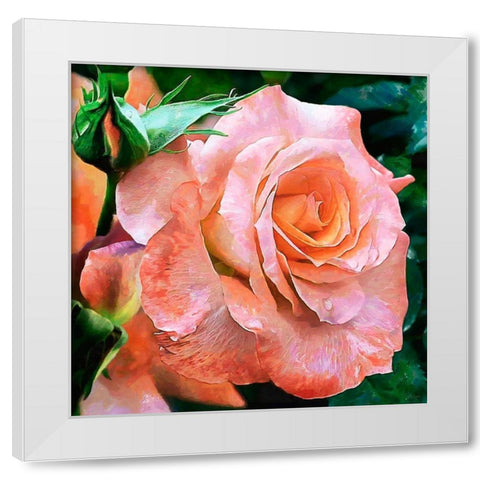 Big Rose White Modern Wood Framed Art Print by Medeiros, Celito