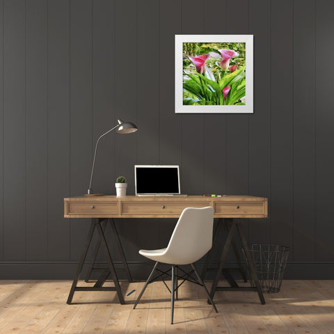 Kala White Modern Wood Framed Art Print by Medeiros, Celito