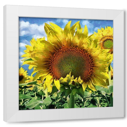 Sunflower White Modern Wood Framed Art Print by Medeiros, Celito