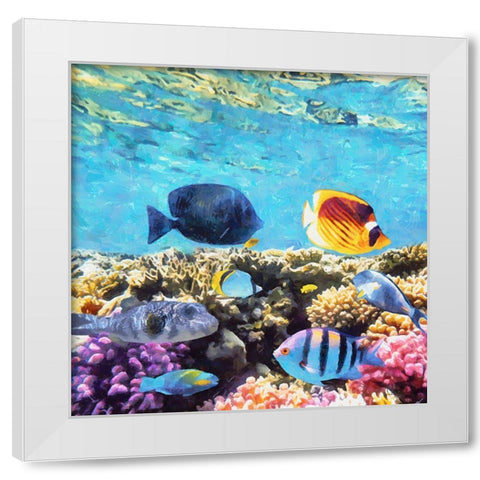 Fishes in Tropical Sea I White Modern Wood Framed Art Print by Medeiros, Celito