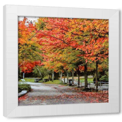 Autumn Park White Modern Wood Framed Art Print by Medeiros, Celito