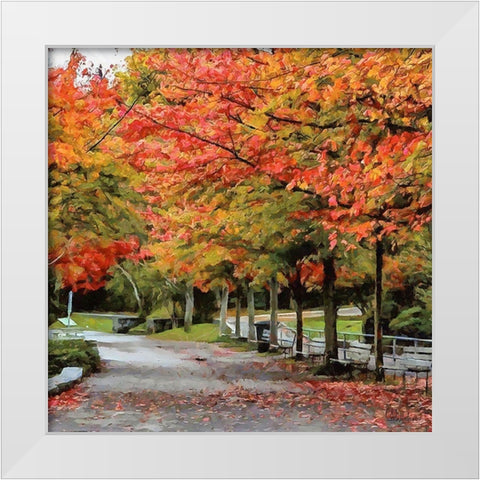 Autumn Park White Modern Wood Framed Art Print by Medeiros, Celito