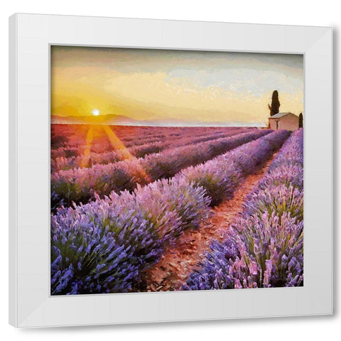 Lavender Field I White Modern Wood Framed Art Print by Medeiros, Celito