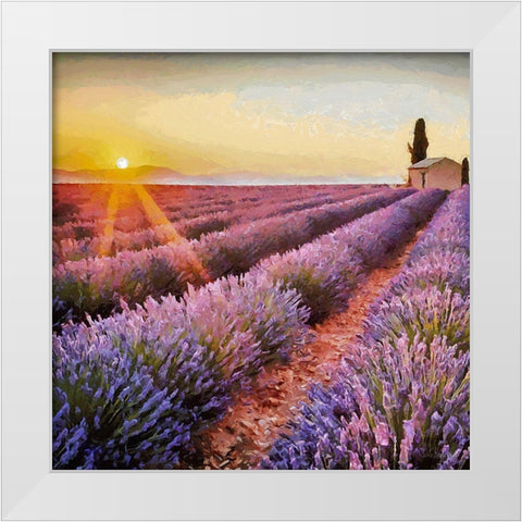 Lavender Field I White Modern Wood Framed Art Print by Medeiros, Celito