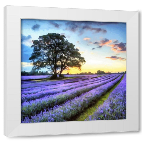 Lavender Field II White Modern Wood Framed Art Print by Medeiros, Celito