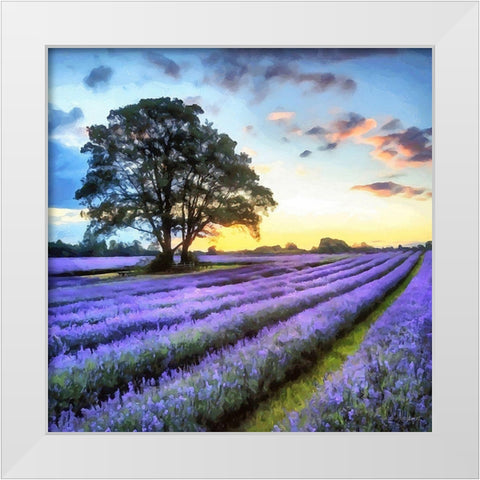 Lavender Field II White Modern Wood Framed Art Print by Medeiros, Celito