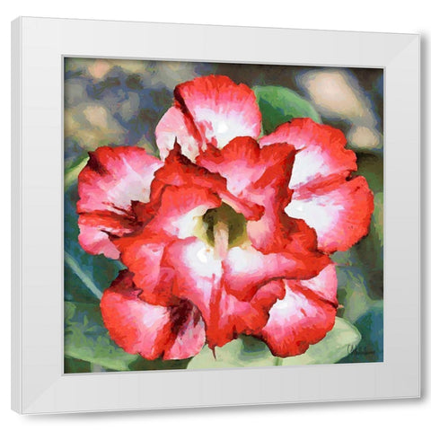 Orchids II White Modern Wood Framed Art Print by Medeiros, Celito