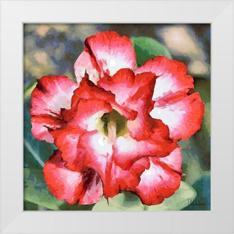Orchids II White Modern Wood Framed Art Print by Medeiros, Celito