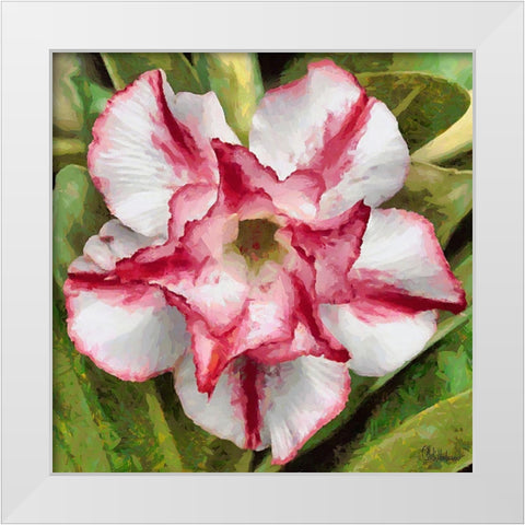 Orchids III White Modern Wood Framed Art Print by Medeiros, Celito