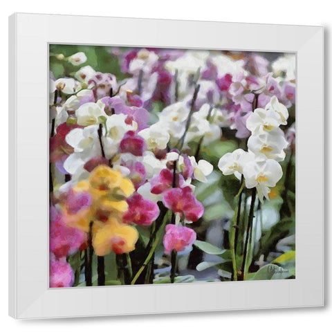 Orchids V White Modern Wood Framed Art Print by Medeiros, Celito