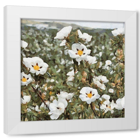 Cotton Field White Modern Wood Framed Art Print by Medeiros, Celito