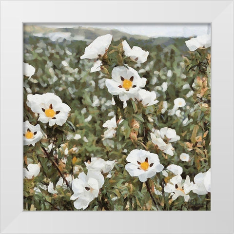 Cotton Field White Modern Wood Framed Art Print by Medeiros, Celito