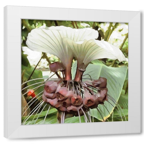 Orchids VI White Modern Wood Framed Art Print by Medeiros, Celito