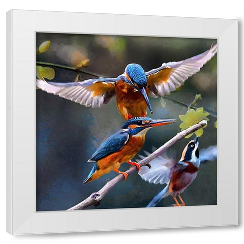 Three Kingfishers White Modern Wood Framed Art Print by Medeiros, Celito