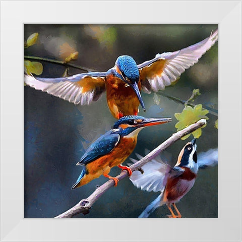 Three Kingfishers White Modern Wood Framed Art Print by Medeiros, Celito