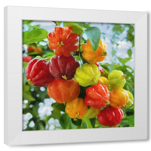 Exotic Fruit White Modern Wood Framed Art Print by Medeiros, Celito