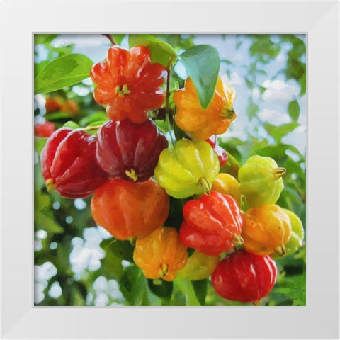 Exotic Fruit White Modern Wood Framed Art Print by Medeiros, Celito