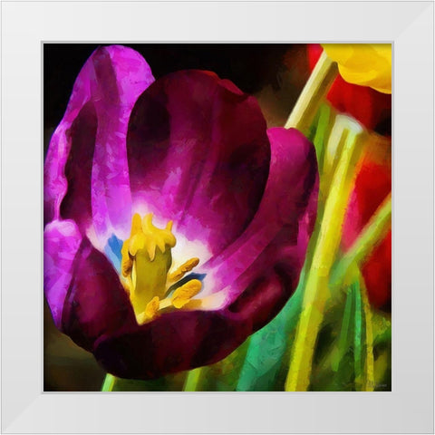 Purple Tulips White Modern Wood Framed Art Print by Medeiros, Celito