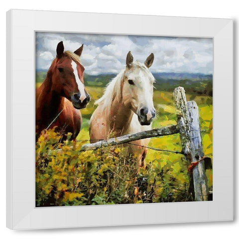 Brown and White Horse White Modern Wood Framed Art Print by Medeiros, Celito