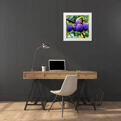 Ripe Plums White Modern Wood Framed Art Print by Medeiros, Celito