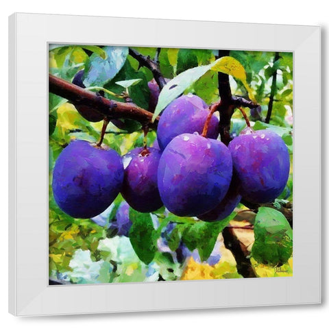 Ripe Plums White Modern Wood Framed Art Print by Medeiros, Celito