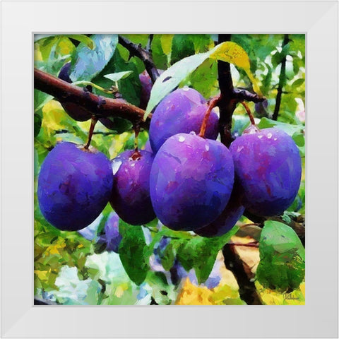 Ripe Plums White Modern Wood Framed Art Print by Medeiros, Celito