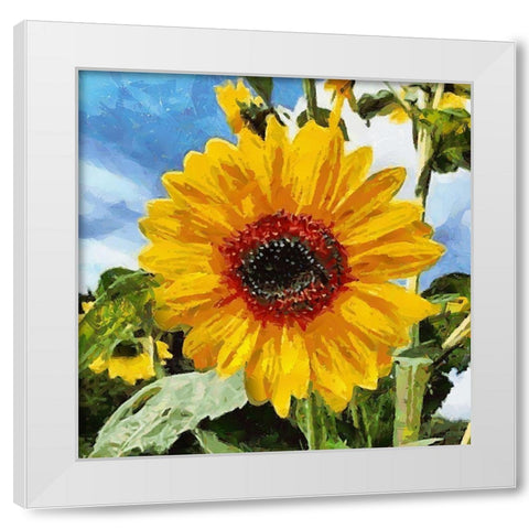 Big Sunflower White Modern Wood Framed Art Print by Medeiros, Celito